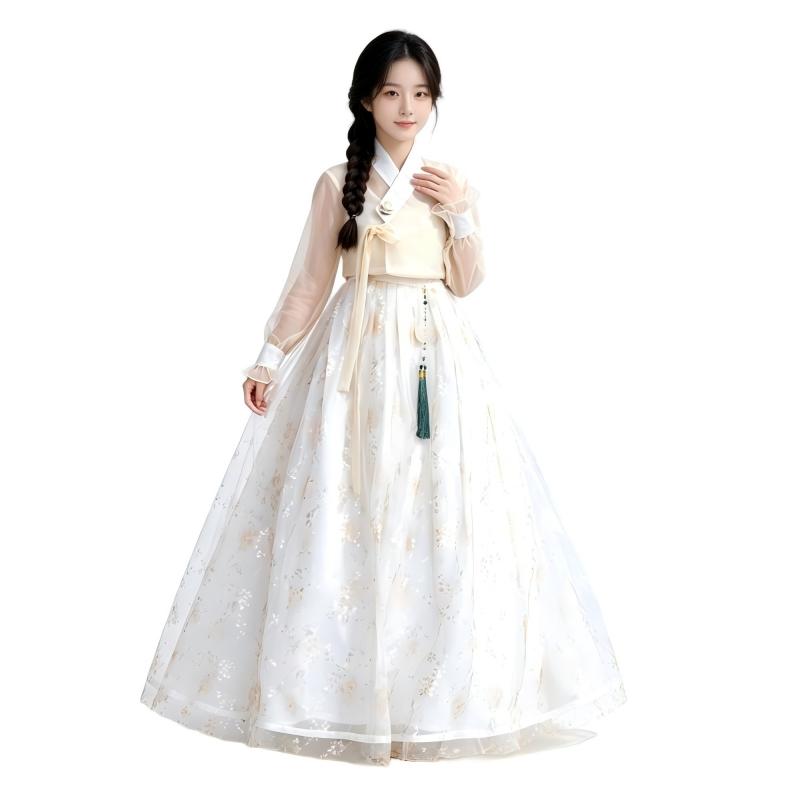 Moderne Koreaanse Hanbok voor  - Hanbok Modern Set recensie en prijs