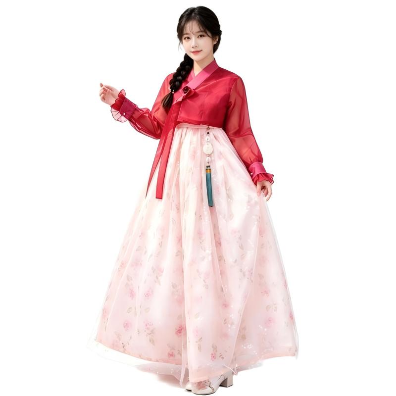 Moderne Koreaanse Hanbok voor  - Hanbok Modern Set recensie en prijs